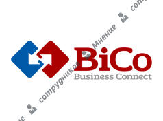 Агентство BiCo