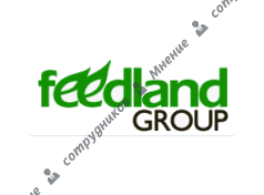 Фидлэнд Групп