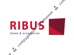 Рибус