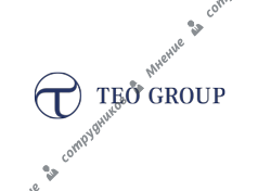 TEO Group