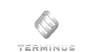 Терминус